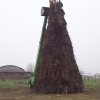 Epifania 2011