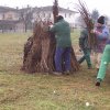 Epifania 2011