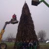 Epifania 2011